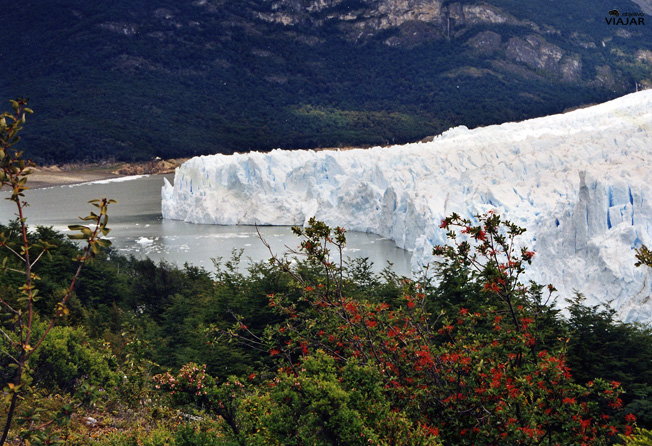 El Glaciar Perito Moreno. Argentina