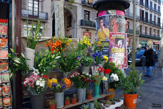 Puesto de flores en La Rambla. Barcelona