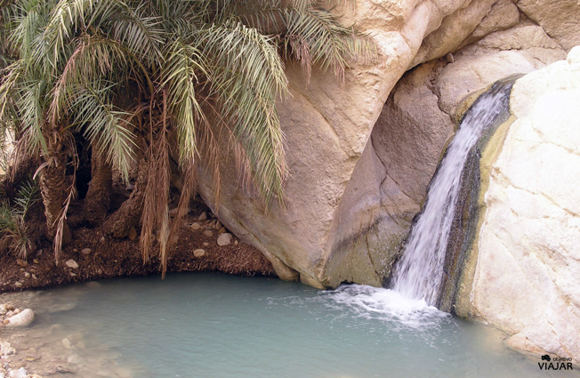 Cascada del oasis de Chebika. Túnez