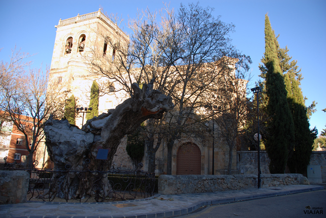Iglesia del Espino y olmo seco. Soria