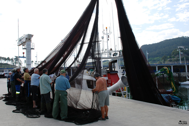 Pescadores faenando en el puerto de Lekeitio