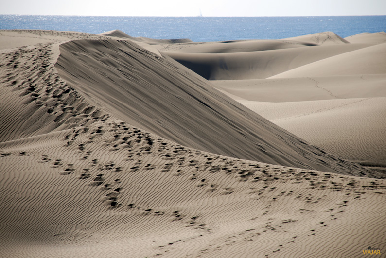 Detalle de las dunas de Maspalomas. Gran Canaria