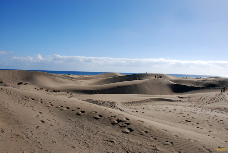 Las dunas y el océano. Gran Canaria