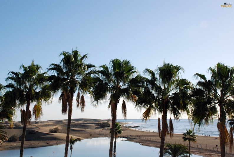 Vistas desde mi habitación. Hotel Seaside Palm Beach. Gran Canaria