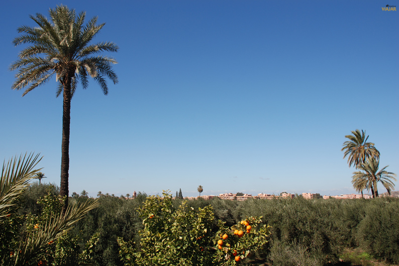 Jardines de la Menara. Marrakech