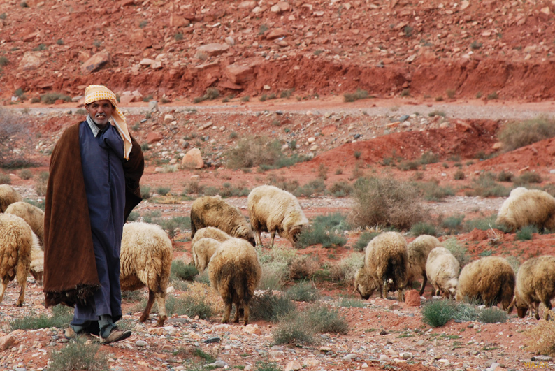 Pastor bereber. Marruecos