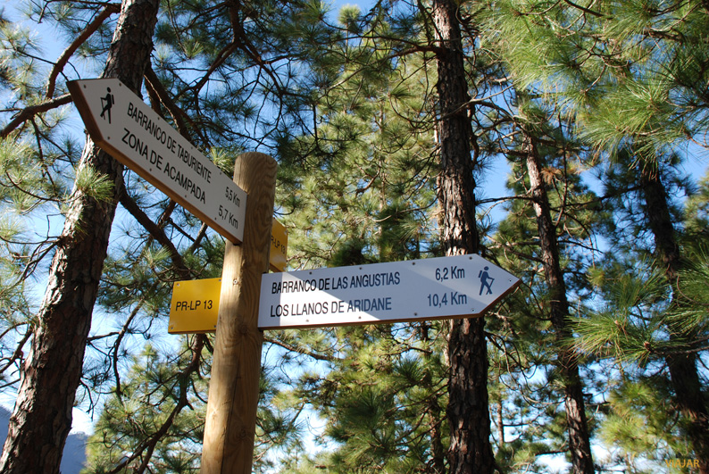 Los senderos señalizados permiten adentrarse en La Caldera de Taburiente o bordearla