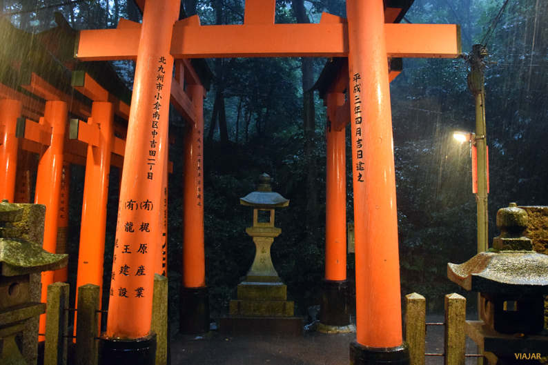 Torii bajo la lluvia. Fushimi Inari. Japón