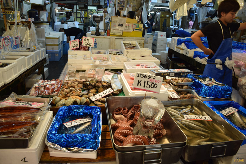 Diferentes especies de pescados en el mercado Tsukiji