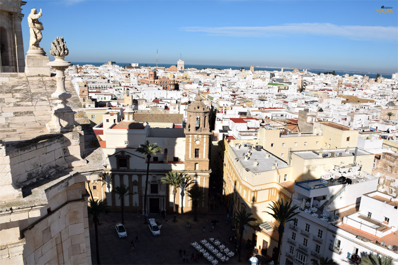 Plaza de la Catedral desde la Torre del Reloj. Cádiz