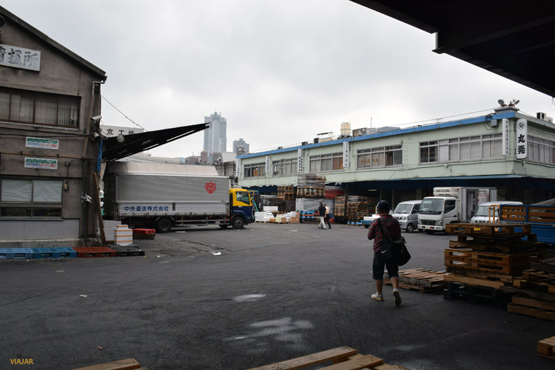 Rumbo al mercado interior de Tsukiji