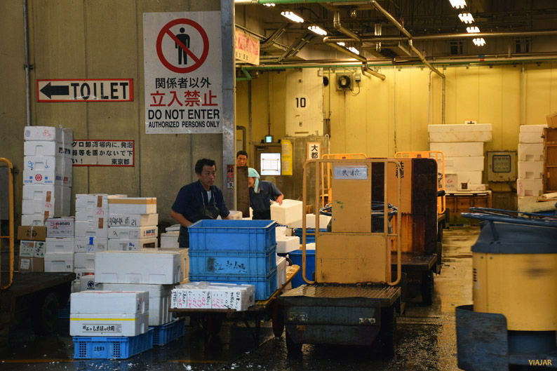 Zona de acceso restringido. Mercado Tsukiji