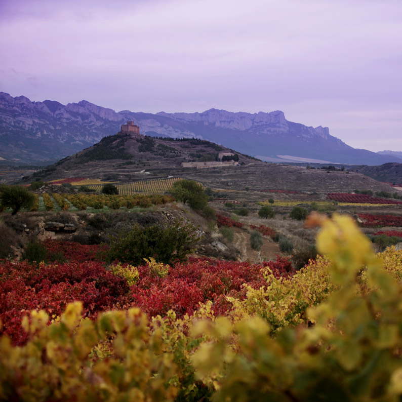 Enoturismo en Vivanco, una estupenda escapada otoñal en La Rioja