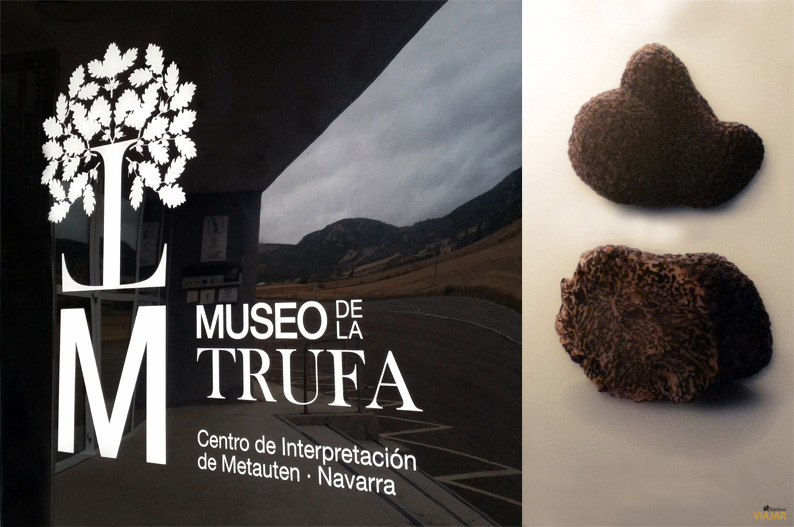 Museo de la Trufa. Metauten Tierra Estella. Navarra