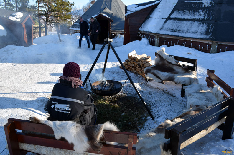 Un momento de soledad al calor del fuego. Trineo de perros. Laponia noruega