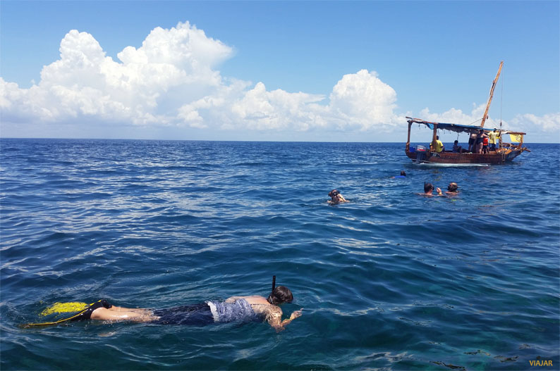 Practicando snorkel. Safari Blue
