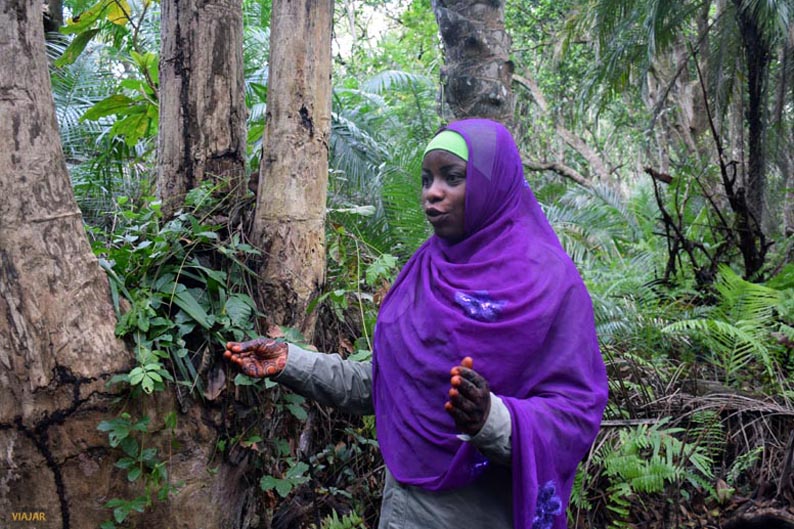 Visita guiada al bosque de Jozani. Que visitar en Zanzibar