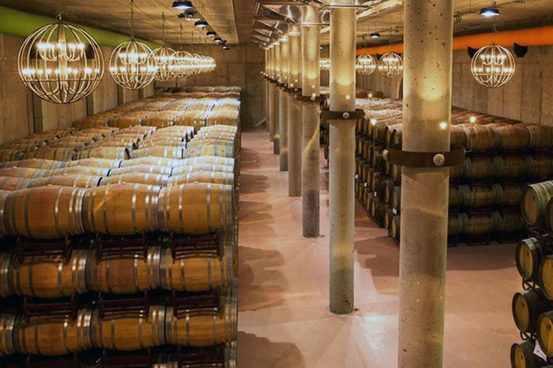 Sala de Barricas. Museo del Vino de Pagos del Rey