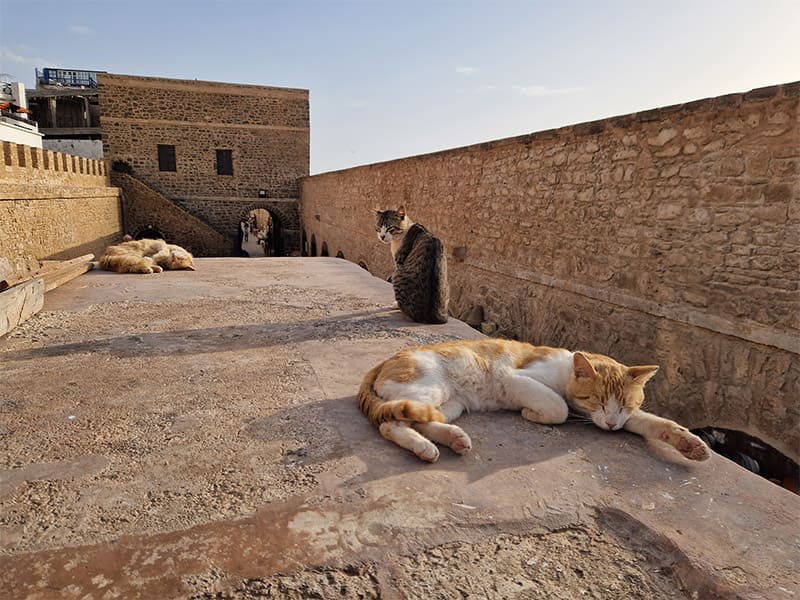 Skala de la Kasbah. Que visitar en Essaouira